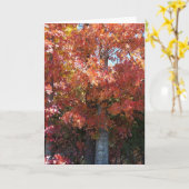 herfstchips kaart (Gele Bloem)