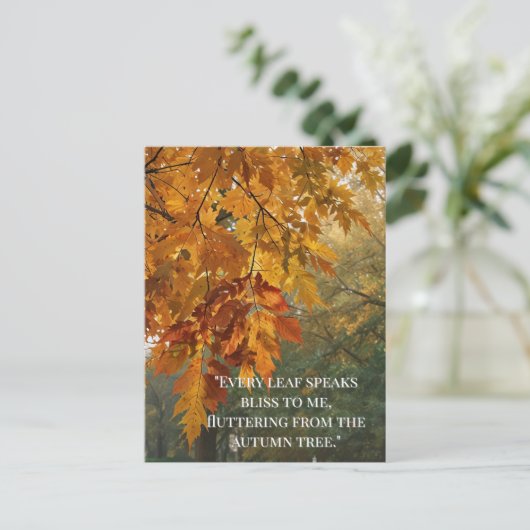 Herfstcitaten Bos Bomen laat wegen Briefkaart (Staand voorkant)