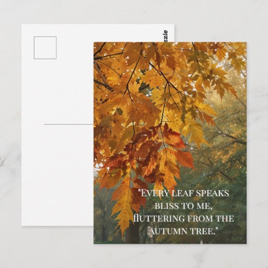 Herfstcitaten Bos Bomen laat wegen Briefkaart (Voorkant / Achterkant)