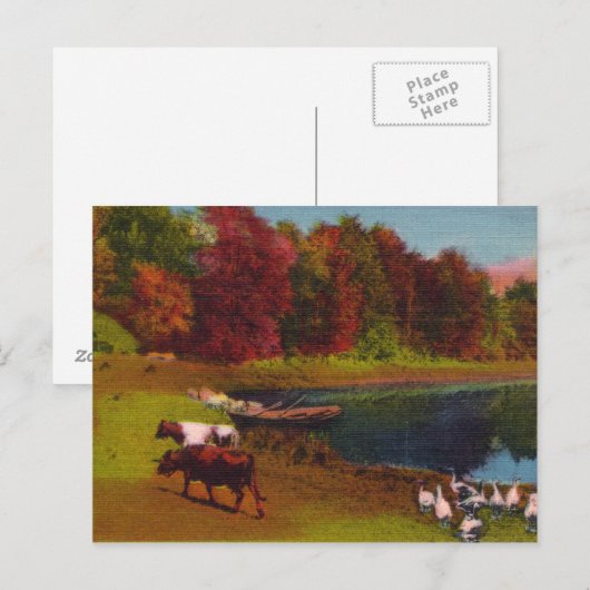 Herfstdag  Briefkaart (Voorkant / Achterkant)