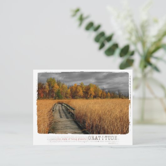 Herfstdag dankbaarheidsfotografie briefkaart (Staand voorkant)