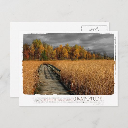 Herfstdag dankbaarheidsfotografie briefkaart (Voorkant / Achterkant)