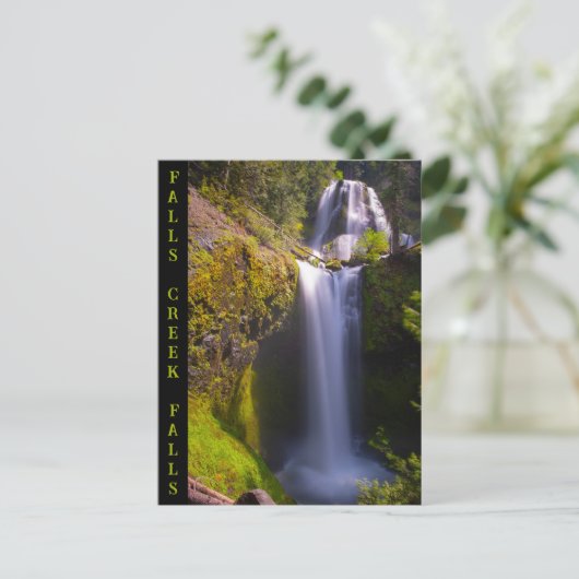 Herfsten Creek Herfsten Gifford Pinchot National F Briefkaart (Staand voorkant)