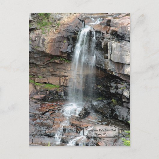 Herfsten Davis WV Briefkaart (Voorkant)