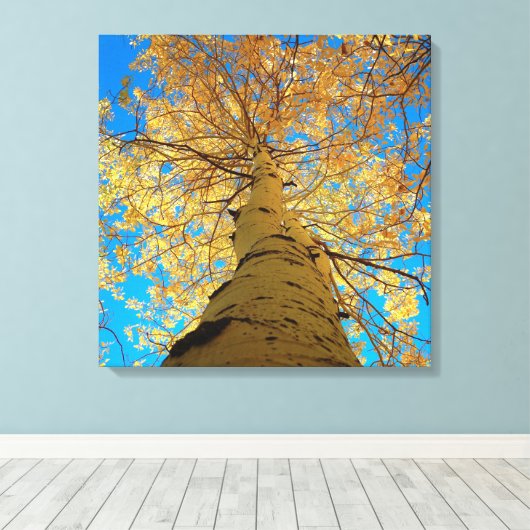 Herfsten downs, kijk omhoog! canvas afdruk (Insitu (Houten vloer))