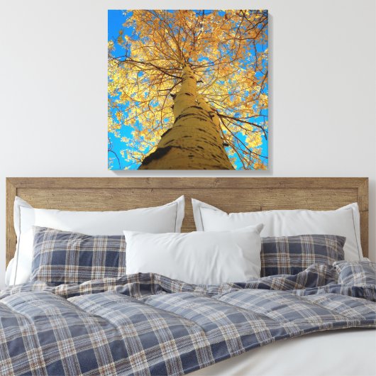 Herfsten downs, kijk omhoog! canvas afdruk (Insitu (Slaapkamer))