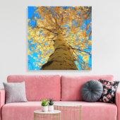 Herfsten downs, kijk omhoog! canvas afdruk (Insitu (Woonkamer))