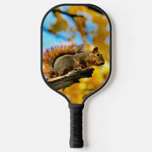 Herfsten eekhoorns pickleball paddle (Voorkant)