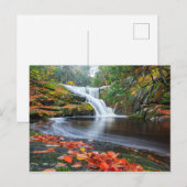 Herfsten in Herfst invoeren Briefkaart (Voorkant / Achterkant)