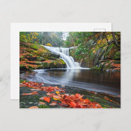 Herfsten in Herfst invoeren Briefkaart (Voorkant / Achterkant)