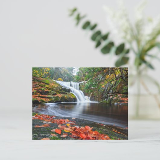 Herfsten in Herfst invoeren Briefkaart (Staand voorkant)