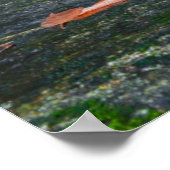 Herfsten in Herfst invoeren Poster (Hoek)