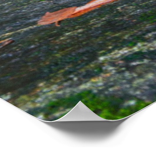 Herfsten in Herfst invoeren Poster (Hoek)