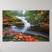 Herfsten in Herfst invoeren Poster (Voorkant)