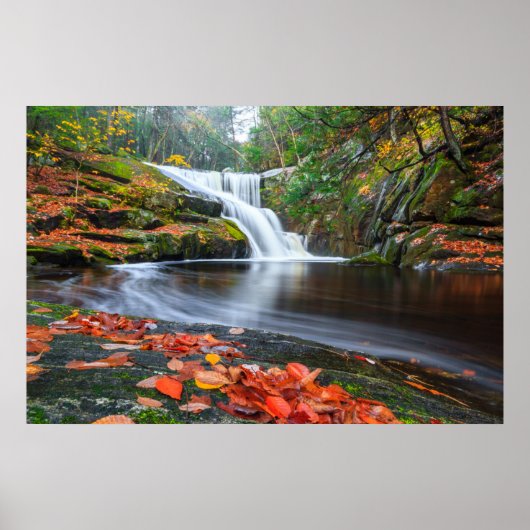 Herfsten in Herfst invoeren Poster (Voorkant)