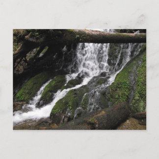 Herfsten in het Redwood State Park Briefkaart