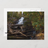 Herfsten in het Rocky Mountain National Park Briefkaart (Voorkant / Achterkant)