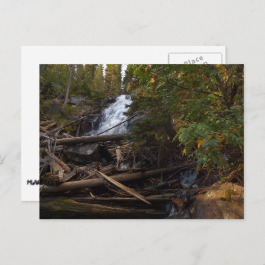 Herfsten in het Rocky Mountain National Park Briefkaart (Voorkant / Achterkant)