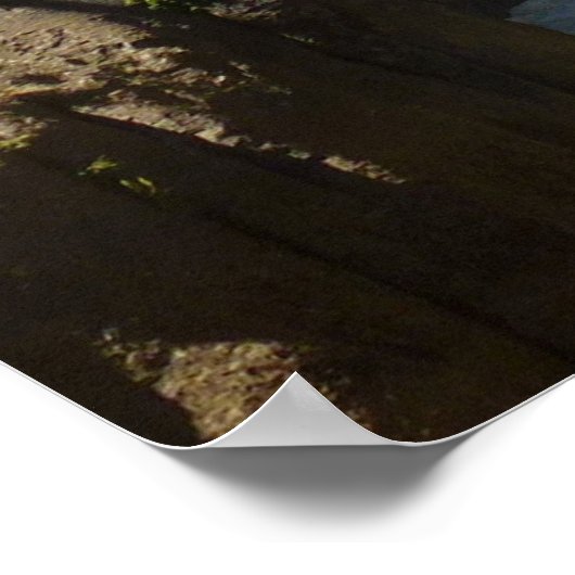 Herfsten in Kings Canyon National Park Poster (Hoek)