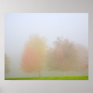 Herfsten in nevel poster