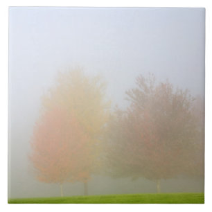 Herfsten in nevel tegeltje