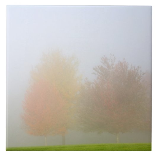 Herfsten in nevel tegeltje (Voorkant)