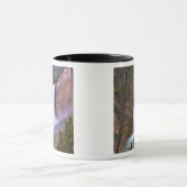 Herfsten met benedengeelsteen, Grand Canyon van Mok (Midden)