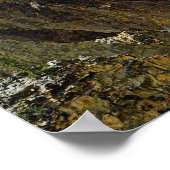 Herfsten met ondergeelsteen, Nationaal Park Yellow Poster (Hoek)