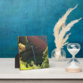 Herfsten met Zuid-Zilver, OF Fotoplaat (Insitu)