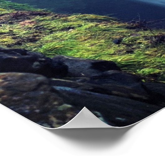 Herfsten met Zuid-Zilver, OF Poster (Hoek)