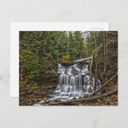 Herfsten, Münising, Michigan Briefkaart (Voorkant / Achterkant)