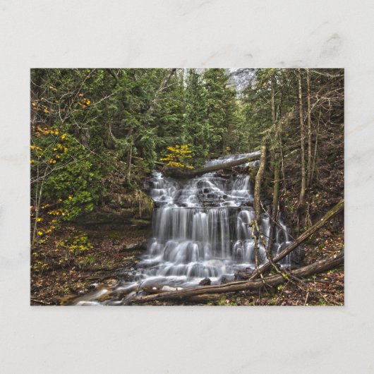 Herfsten, Münising, Michigan Briefkaart (Voorkant)