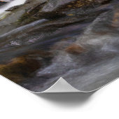 Herfsten op Zand Spring Run Poster (Hoek)