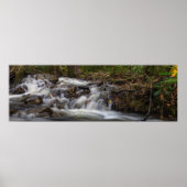 Herfsten op Zand Spring Run Poster (Voorkant)