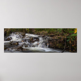 Herfsten op Zand Spring Run Poster