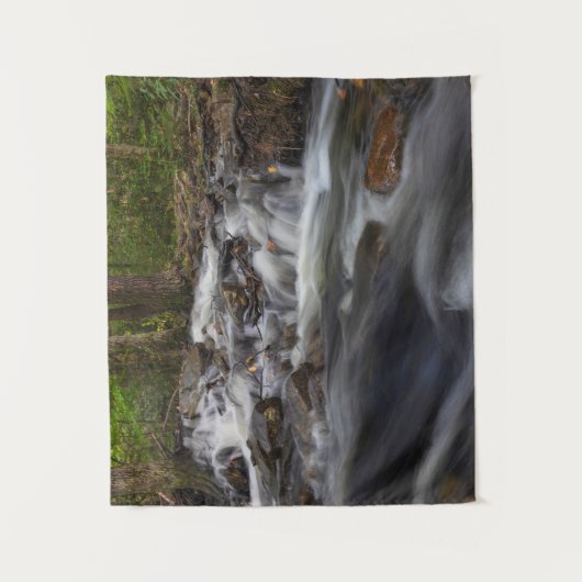 Herfsten op Zand Spring Run Wandkleed (Voorkant)