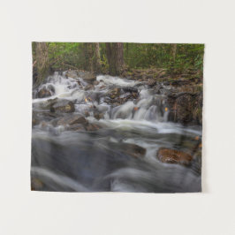 Herfsten op Zand Spring Run Wandkleed