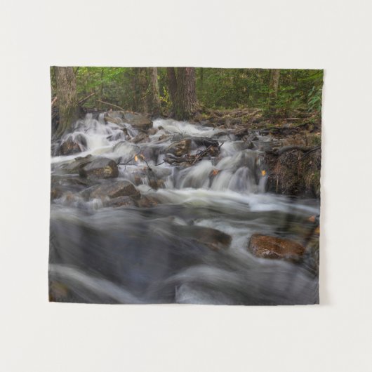 Herfsten op Zand Spring Run Wandkleed (Voorkant (horizontaal))