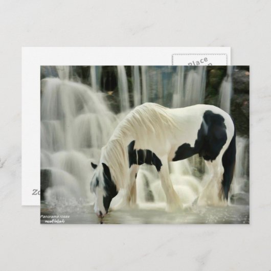 herfsten, paard, rivier, mooi uitzicht briefkaart (Voorkant / Achterkant)