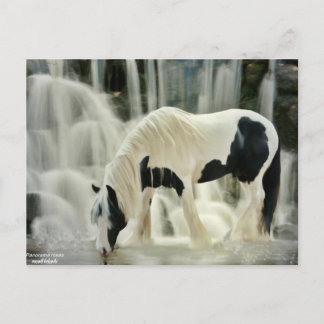 herfsten, paard, rivier, mooi uitzicht briefkaart