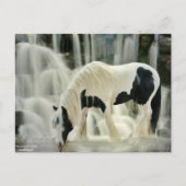 herfsten, paard, rivier, mooi uitzicht briefkaart (Voorkant)