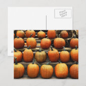 Herfsten pompoenen briefkaart (Voorkant / Achterkant)