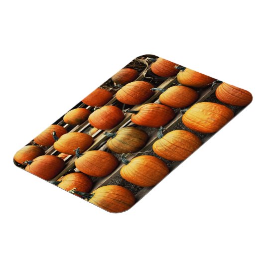 Herfsten pompoenen magneet (Linkerzijde)
