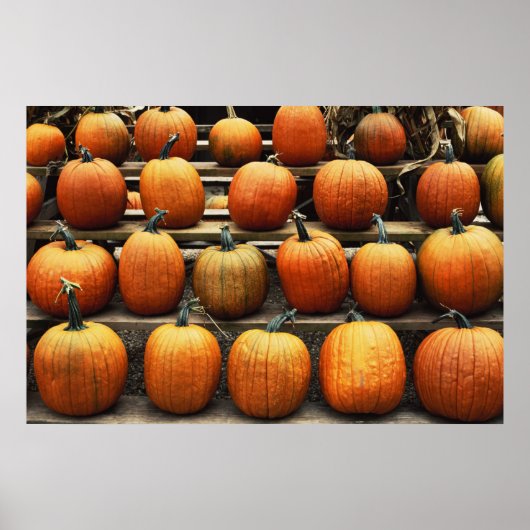 Herfsten pompoenen poster (Voorkant)
