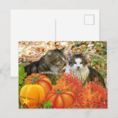 Herfsten Seizoenskatten en pompoenen Briefkaart (Voorkant / Achterkant)