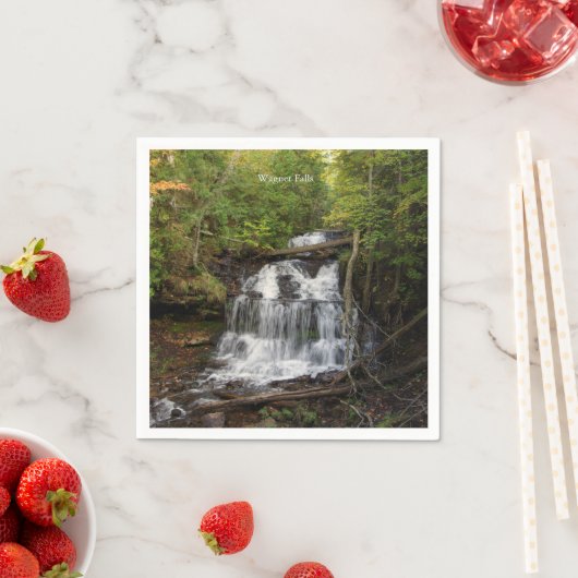 Herfsten servet (Insitu)