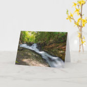 Herfsten splitsen op Zand Spring Run Kaart (Gele Bloem)