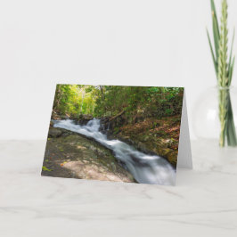 Herfsten splitsen op Zand Spring Run Kaart