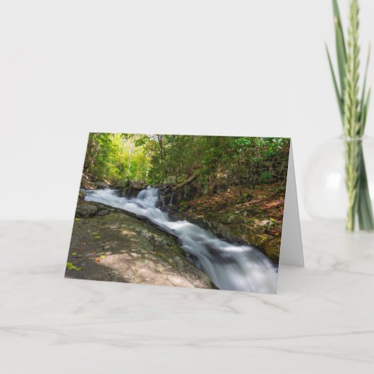 Herfsten splitsen op Zand Spring Run Kaart (Voorkant)