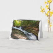 Herfsten splitsen op Zand Spring Run Kaart (Gele Bloem)